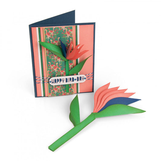 MATRIZ-TOQUEL FRAMELITS  AVE DEL PARAISO SIZZIX