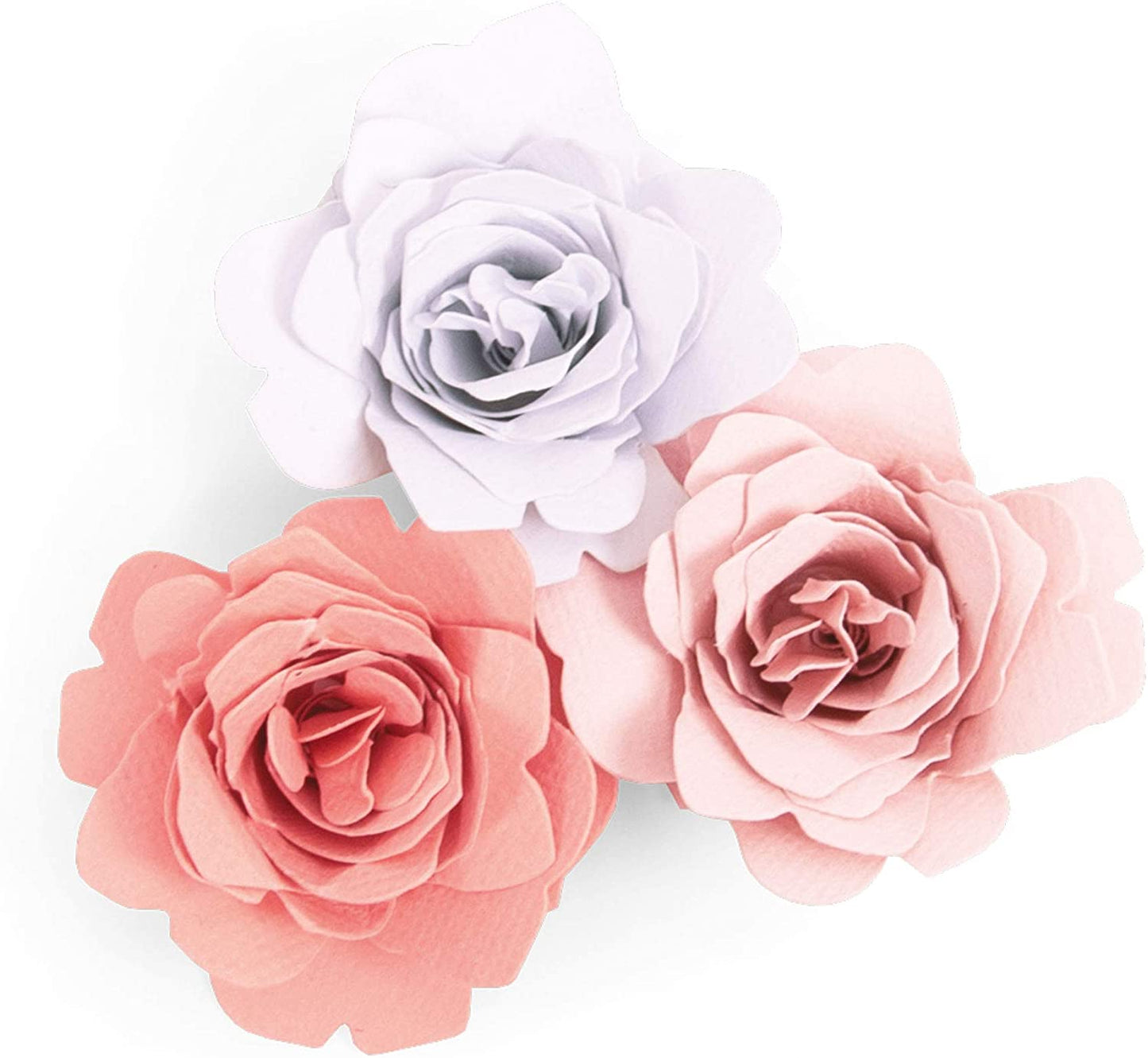 MATRIZ-TROQUEL BIGZ GRACE  3D SIZZIX